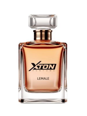 le male xton